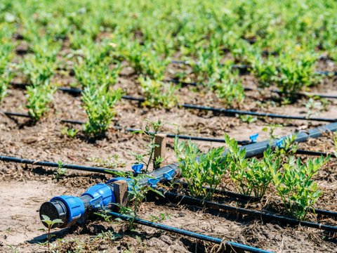 Bombeo para Riego Tecnificado y Agroindustria