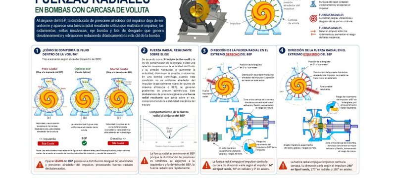 ¿Por qué una bomba destruye sus rodamientos y sellos mecánicos… aunque todo parezca estar bien?